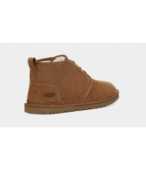 Men's Neumel Chestnut 3236